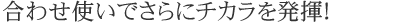 �p�C�i�b�v�������V���[�Y�̕��p�ł���Ƀ`�J���𔭊��I