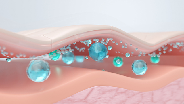 セラミド・NMFの減少