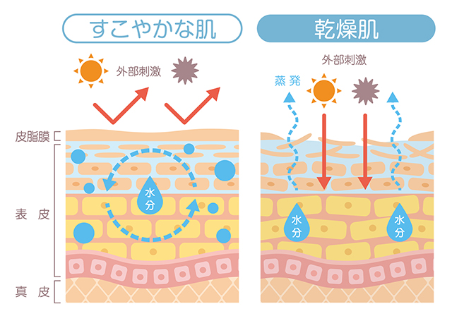 乾燥肌とは？どのような状態の肌を指すのか
