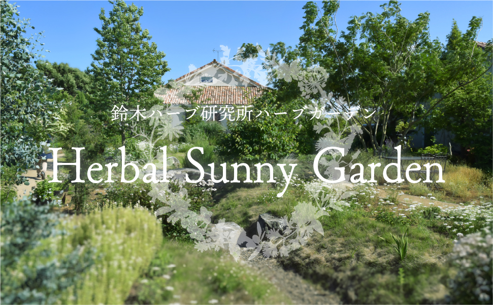 Herbal Sunny Garden