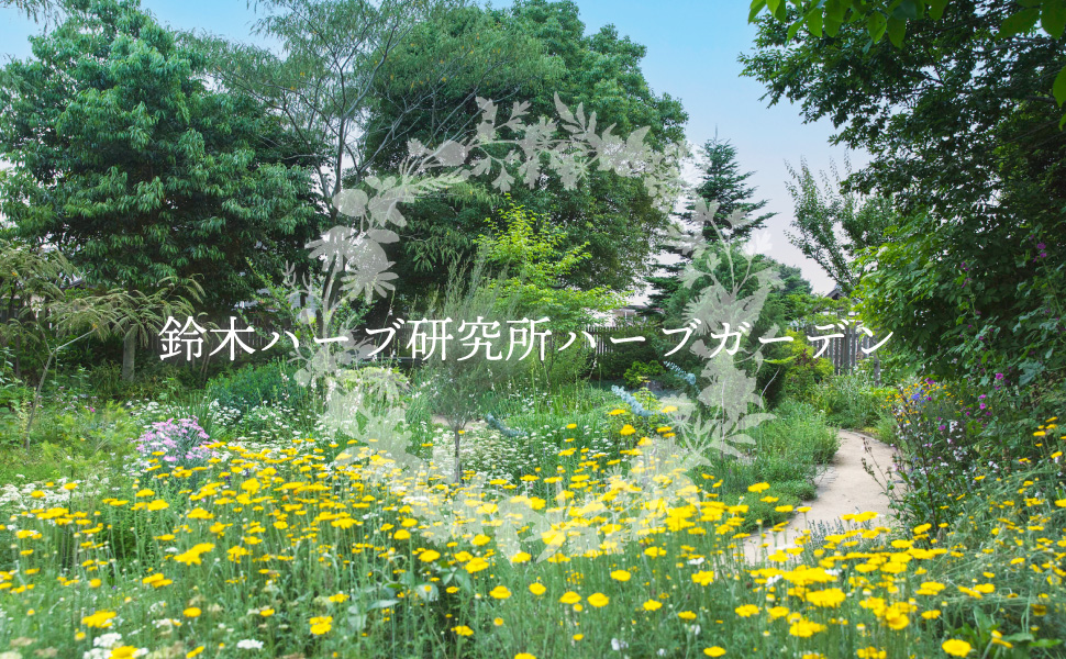 Herbal Sunny Garden