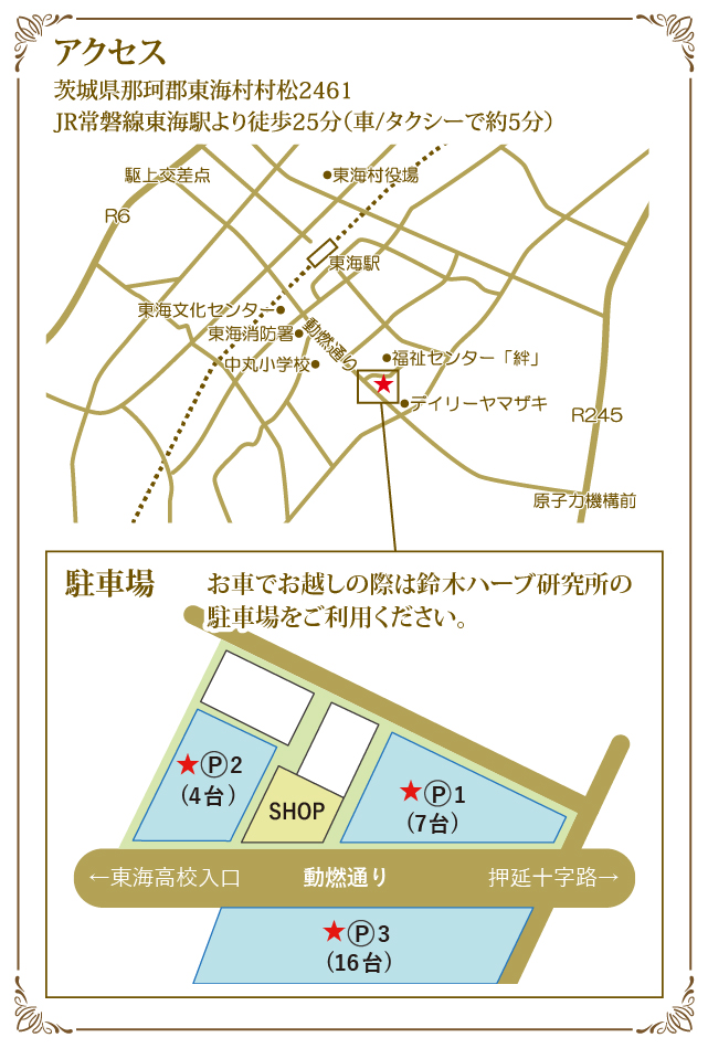 アクセスマップ