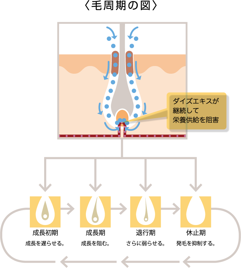 公式 鈴木ハーブ研究所 Feel Herb パイナップル豆乳のパワーを徹底検証