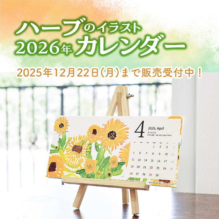 ハーブのイラスト2026年カレンダー
