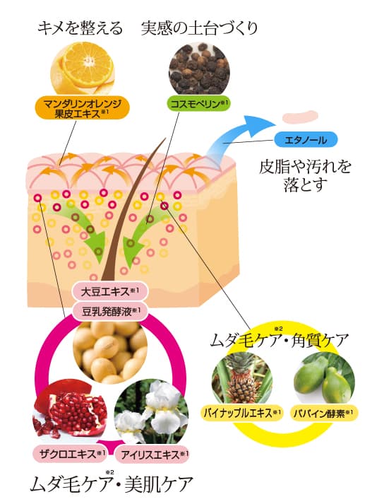 パイナップル豆乳ローション｜【公式】鈴木ハーブ研究所