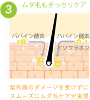 ムダ毛もきっちりケア
