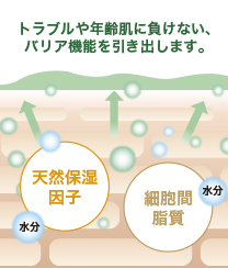 トラブルや年齢肌に負けない、バリア機能を引き出します