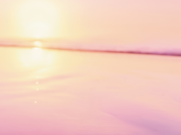 エスハーブ ザ クレンジング