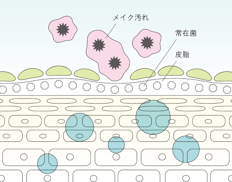 エスハーブ ザ クレンジング